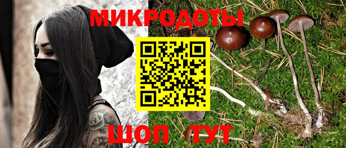 Галлюциногенные грибы Cubensis  Вход с VPN  Псилоцибиновые грибы мухоморы  Кызыл 