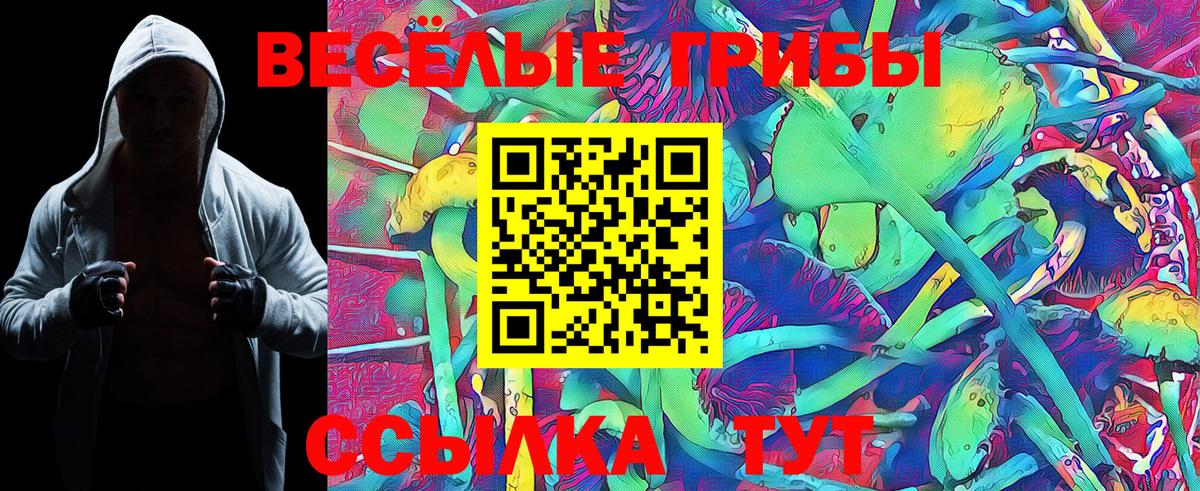 Галлюциногенные грибы Cubensis Кызыл